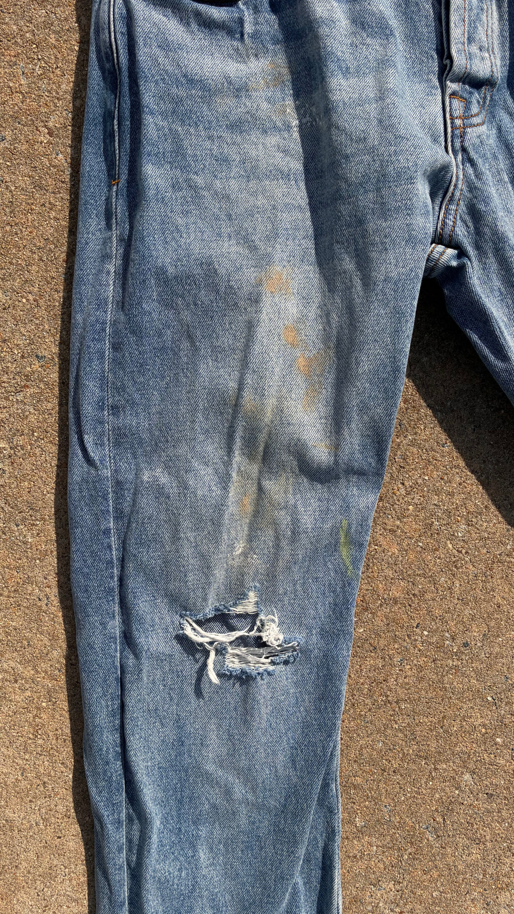 BLDG 4. Bird Pants