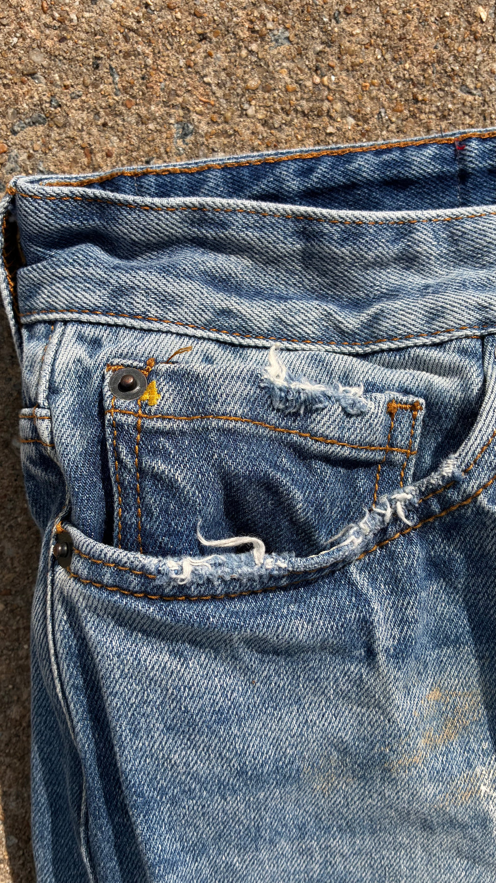 BLDG 4. Bird Pants