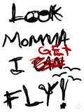 Look I Get Fly Poster